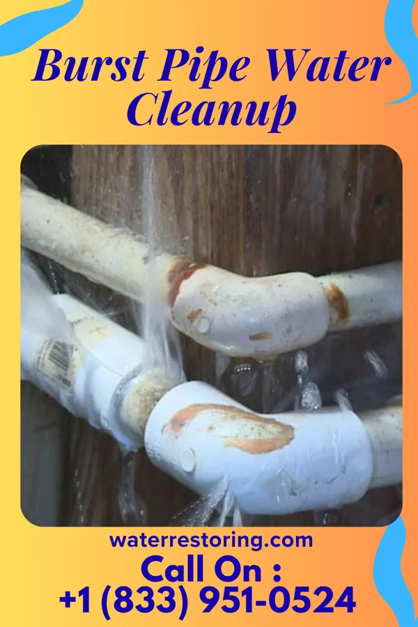 Burst Pipe Water Cleanup in Mooreland, IN