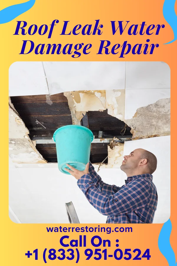 Roof Leak Water Damage Repair in Mooreland, IN