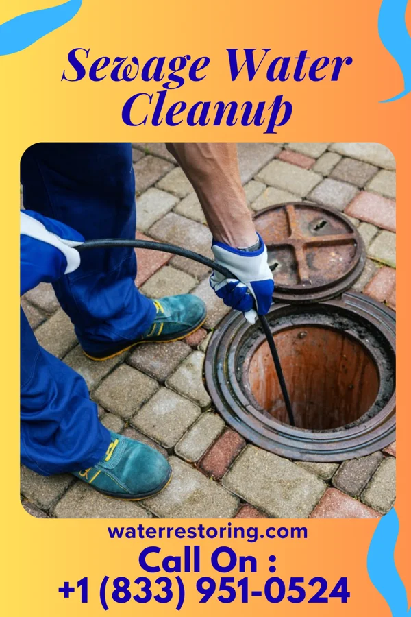 Sewage Water Cleanup in Mooreland, IN